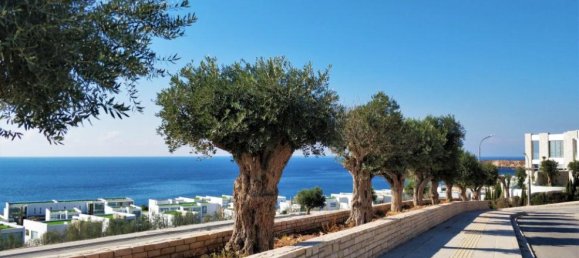 استوديو في Paphos, Cyprus رقم 25218 15