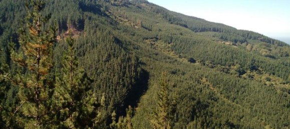 Grundstück in Biobio, Chile, Nr. 807 2