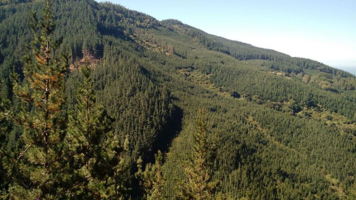 Grundstück in Biobio, Chile, Nr. 807