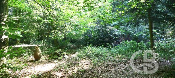 Bungalow de 4 divisões em Oberbergischer, Germany N.º 270019 10