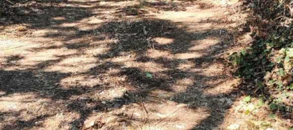 8 rooms House in Quargnento, Italy No. 298026 39