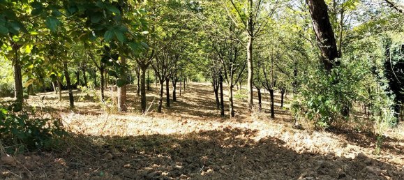 8 rooms House in Quargnento, Italy No. 298026 38