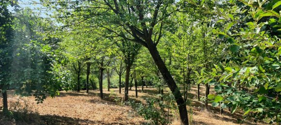 8 rooms House in Quargnento, Italy No. 298026 31