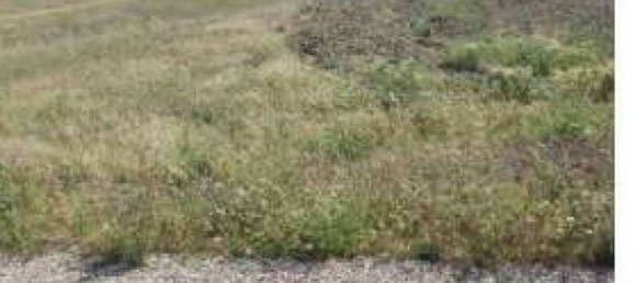 Terreno em Tolve, Italy 241850 m² N.º 301485 7