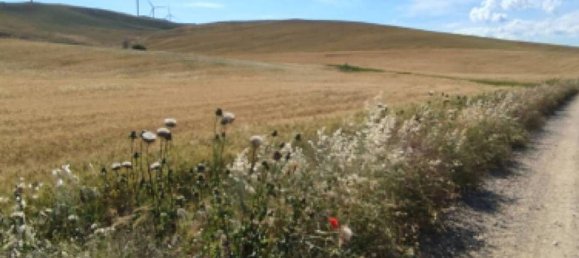 Terreno em Tolve, Italy 241850 m² N.º 301485 8