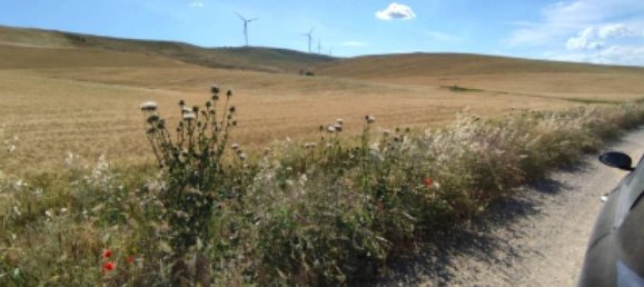 Terreno em Tolve, Italy 241850 m² N.º 301485 10