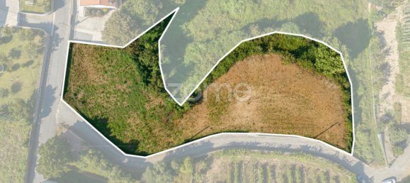  قطعة أرض في Dornelas, Portugal 900متر مربع رقم 320326 5