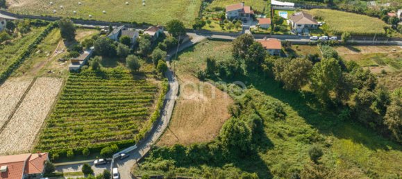  قطعة أرض في Dornelas, Portugal 900متر مربع رقم 320326 8