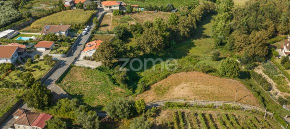  قطعة أرض في Dornelas, Portugal 900متر مربع رقم 320326 11