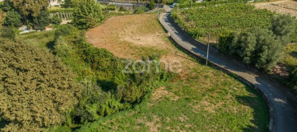  قطعة أرض في Dornelas, Portugal 900متر مربع رقم 320326 3