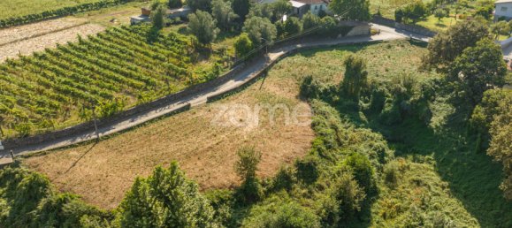  قطعة أرض في Dornelas, Portugal 900متر مربع رقم 320326 10