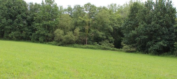 61000m² Commercial property in Siero, Spain No. 175184 7