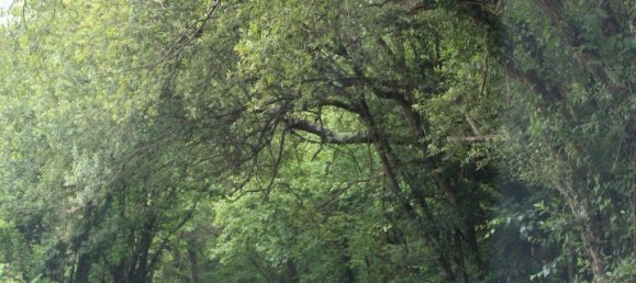 61000m² Commercial property in Siero, Spain No. 175184 14