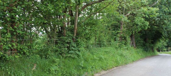 61000m² Commercial property in Siero, Spain No. 175184 12