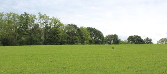 61000m² Commercial property in Siero, Spain No. 175184 4