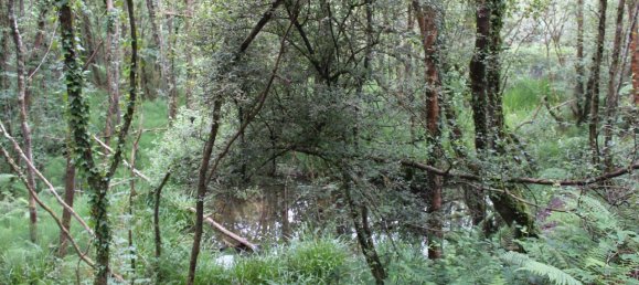 61000m² Commercial property in Siero, Spain No. 175184 10