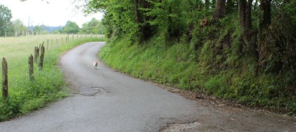 61000m² Commercial property in Siero, Spain No. 175184 13