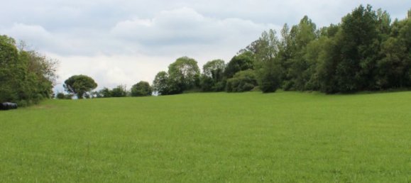 61000m² Commercial property in Siero, Spain No. 175184 8