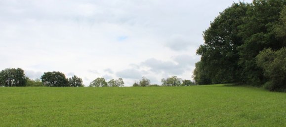 61000m² Commercial property in Siero, Spain No. 175184 3