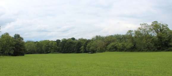 61000m² Commercial property in Siero, Spain No. 175184 6