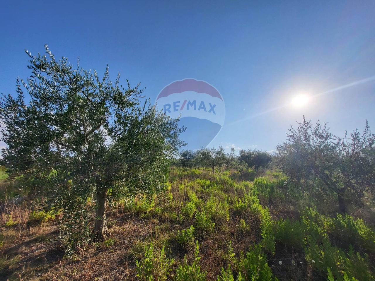 Terreno de 1 habitación en Mergo, Italy No. 2924