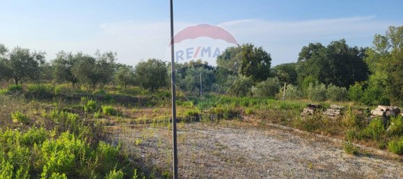 Terreno de 1 habitación en Mergo, Italy No. 2924 4