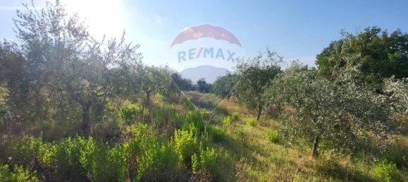 Terreno de 1 habitación en Mergo, Italy No. 2924 2