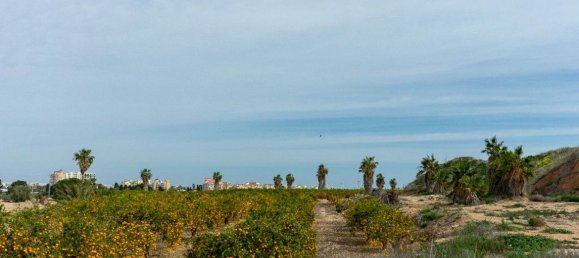 2 bedrooms Villa in Torrevieja, Spain No. 151760 89