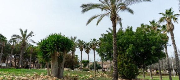 2 bedrooms Villa in Torrevieja, Spain No. 151760 91