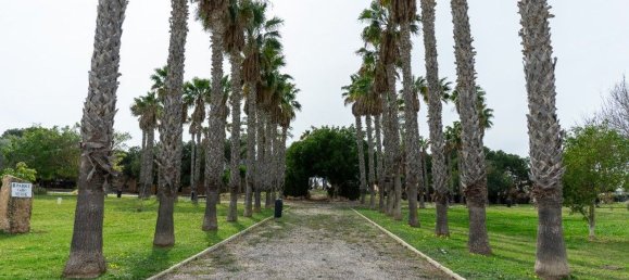 2 bedrooms Villa in Torrevieja, Spain No. 151760 90