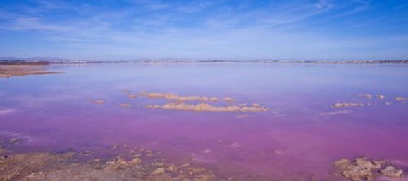 2 bedrooms Villa in Torrevieja, Spain No. 151760 87