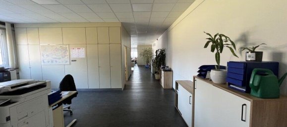  Commercial property in Enzersdorf an der Fischa, Austria No. 170258 10