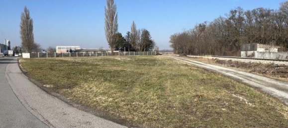  Commercial property in Enzersdorf an der Fischa, Austria No. 170258 4