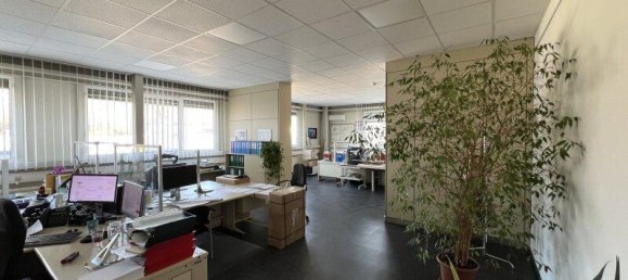  Commercial property in Enzersdorf an der Fischa, Austria No. 170258 15