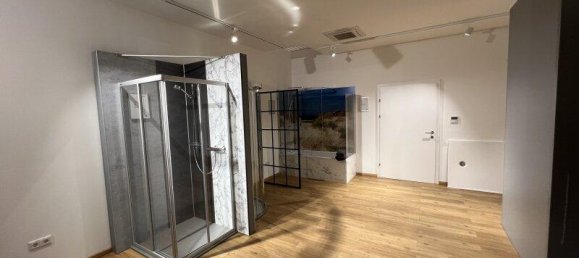  Commercial property in Enzersdorf an der Fischa, Austria No. 170258 11