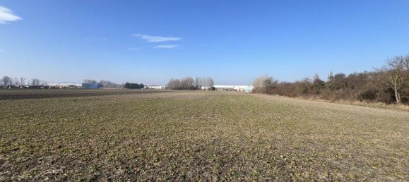  Commercial property in Enzersdorf an der Fischa, Austria No. 170258 3