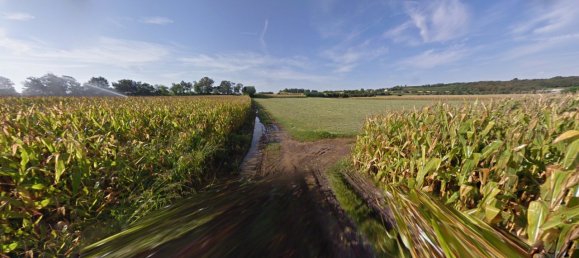 Земельный участок 50999м² в Кавриана, Италия № 354091 10