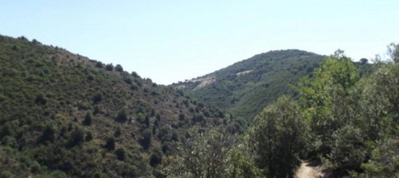 4 bedrooms House in Greffeil, France No. 16963 2