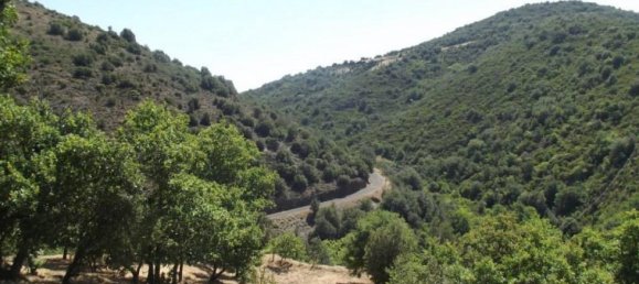 4 bedrooms House in Greffeil, France No. 16963 4