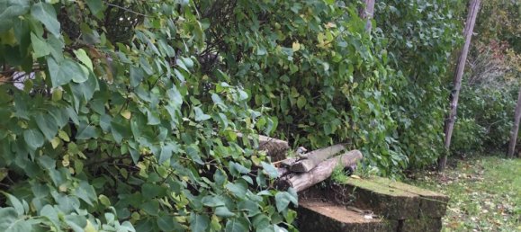 7 rooms Duplex in Castel del Piano, Italy No. 158064 14