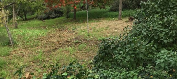 7 rooms Duplex in Castel del Piano, Italy No. 158064 31