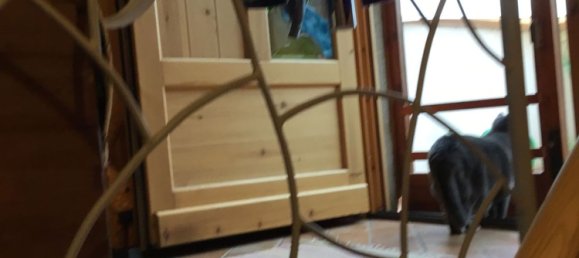 7 rooms Duplex in Castel del Piano, Italy No. 158064 21