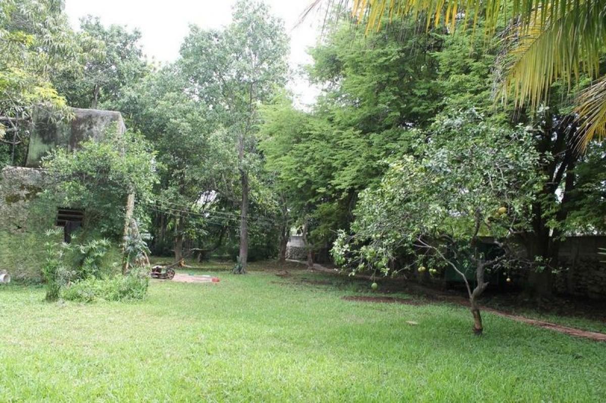  قطعة أرض في Merida, Mexico رقم 127953