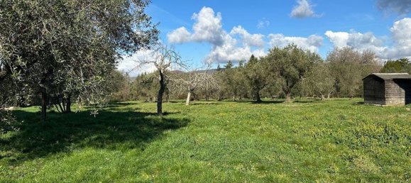 7-Zimmer Villa in Canale Monterano, Italy, Nr. 206971 11
