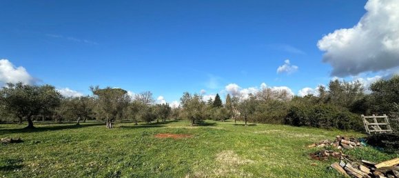 7-Zimmer Villa in Canale Monterano, Italy, Nr. 206971 7