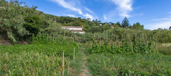 1 bedroom House in Cascais, Portugal No. 137568 5