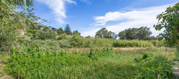 1 bedroom House in Cascais, Portugal No. 137568 6