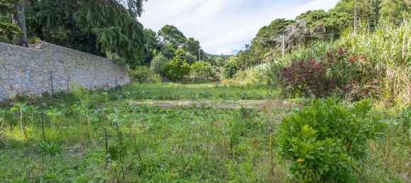 1 bedroom House in Cascais, Portugal No. 137568 14