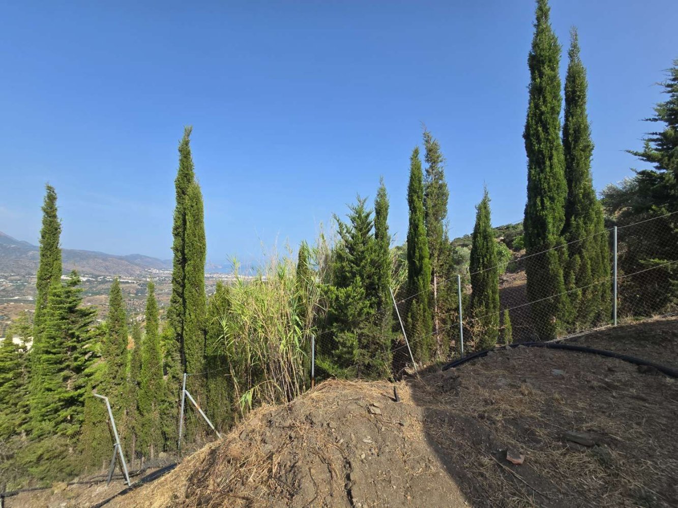 1 غرف نوم منزل في Malaga, Spain رقم 245340