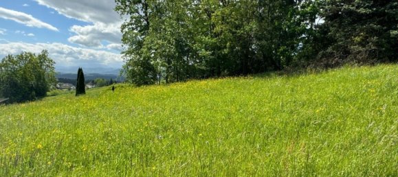  قطعة أرض في St. Martin-Karlsbach, Austria رقم 63341 3